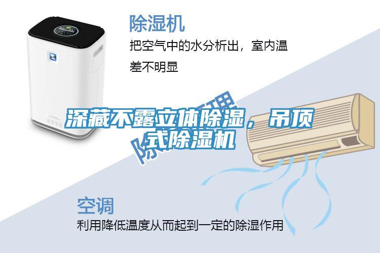 深藏不露立體除濕，吊頂式91看片软件大全