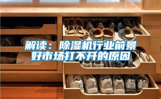解讀：91看片软件大全行業前景好市場打不開的原因