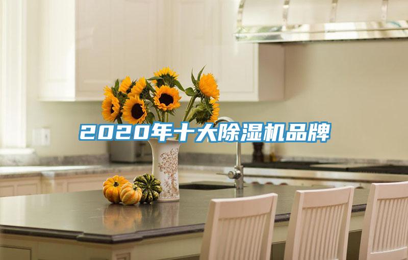 2020年十大91看片软件大全品牌