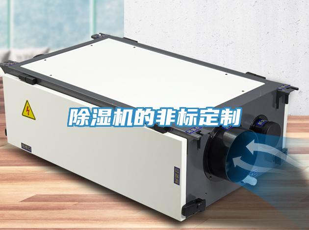 91看片软件大全的非標定製