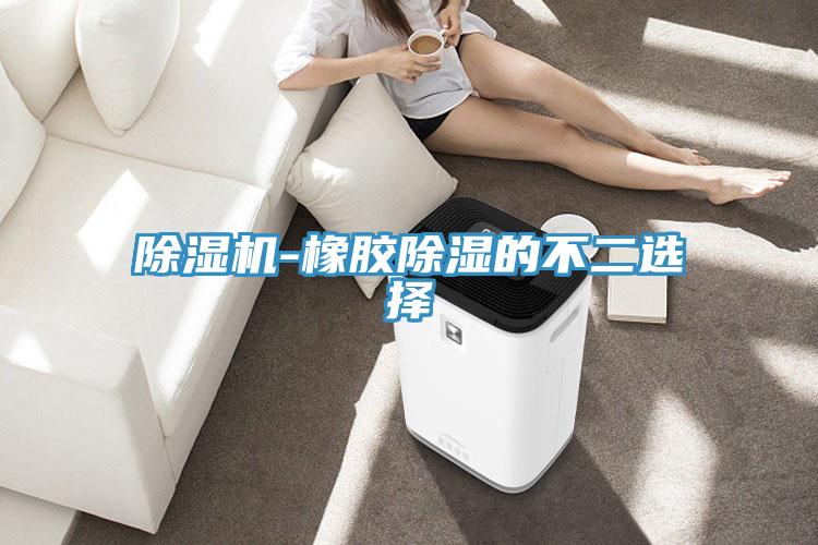 91看片软件大全-橡膠除濕的不二選擇