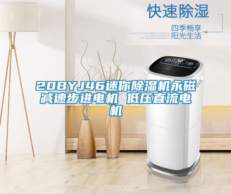 20BYJ46迷你91看片软件大全永磁減速步進電機 低壓直流電機