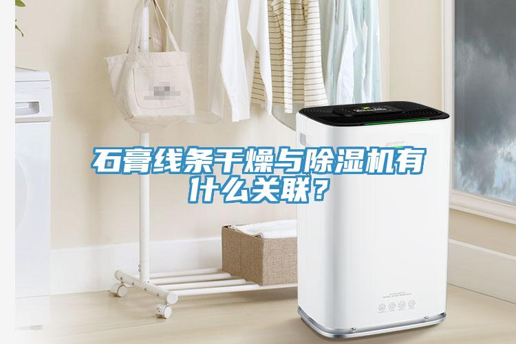 石膏線條幹燥與91看片软件大全有什麽關聯？