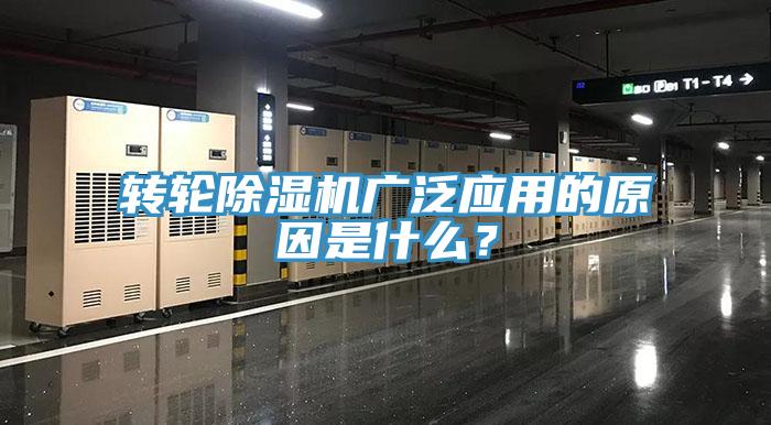 轉輪91看片软件大全廣泛應用的原因是什麽？