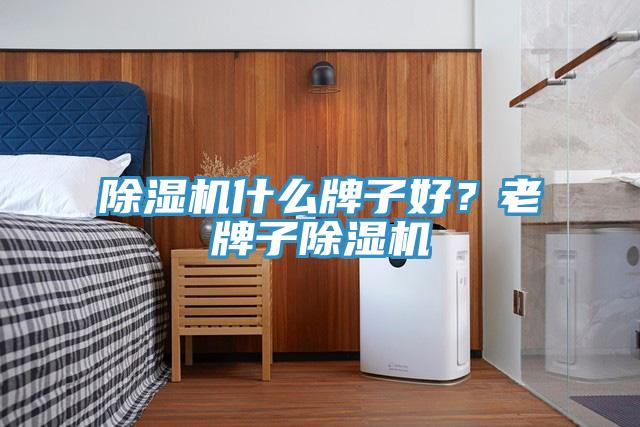 91看片软件大全什麽牌子好？老牌子91看片软件大全