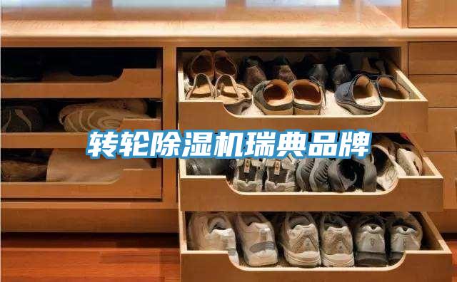 轉輪91看片软件大全瑞典品牌