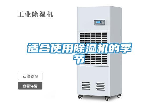 適合使用91看片软件大全的季節