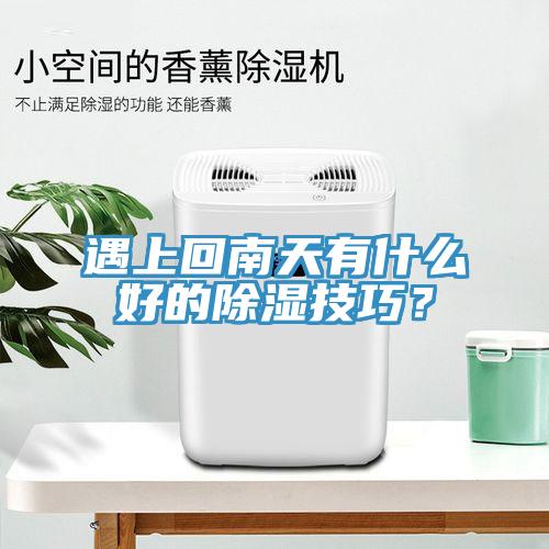 遇上回南天有什麽好的除濕技巧？