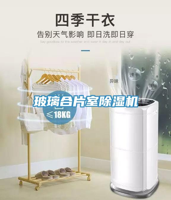 玻璃合片室91看片软件大全