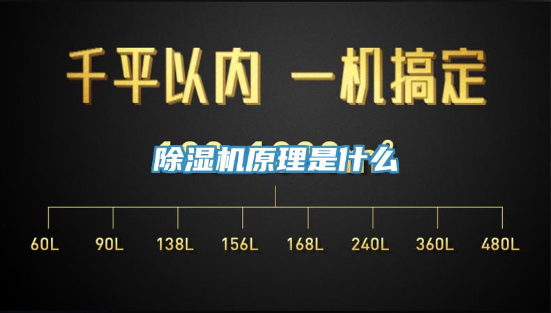 91看片软件大全原理是什麽