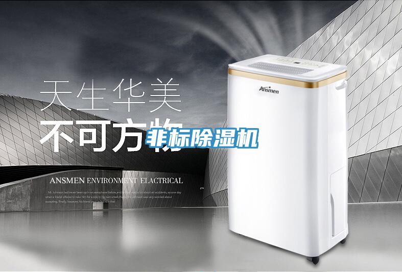 非標91看片软件大全