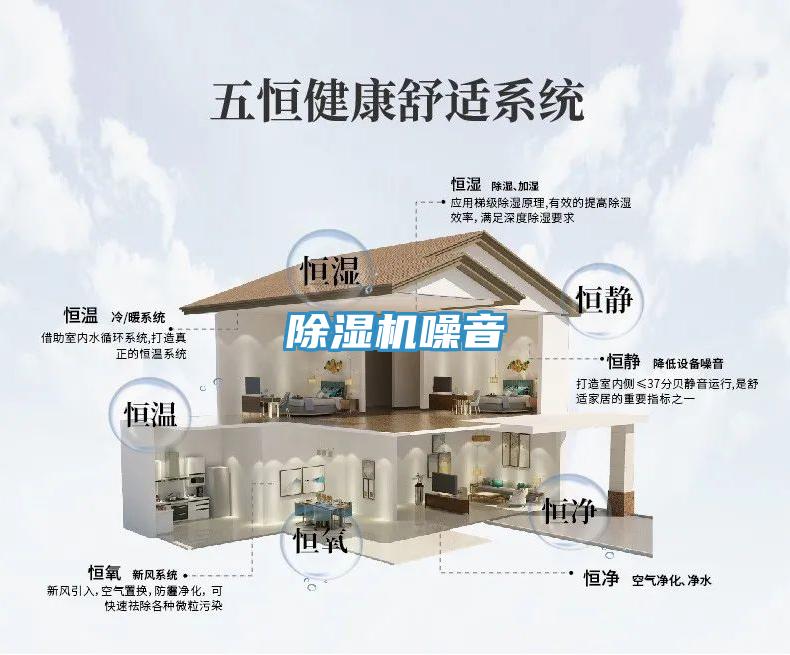91看片软件大全噪音