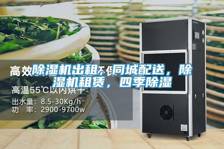 91看片软件大全出租，同城配送，91看片软件大全租賃，四季除濕