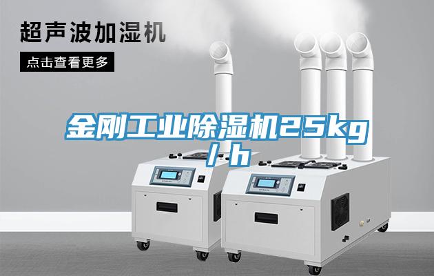 金剛工業91看片软件大全25kg／h