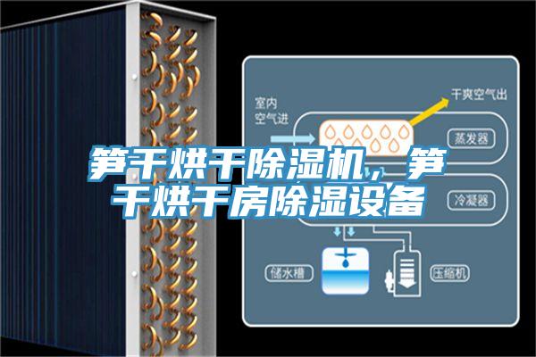 筍幹烘幹91看片软件大全，筍幹烘幹房除濕設備
