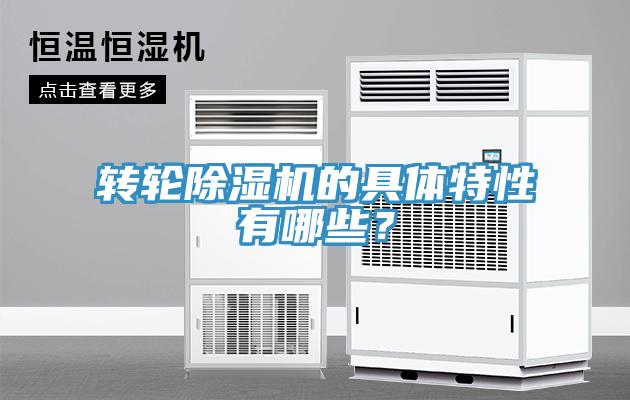 轉輪91看片软件大全的具體特性有哪些？