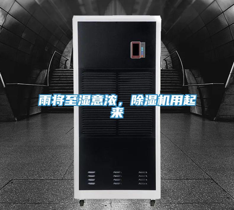 雨將至濕意濃，91看片软件大全用起來