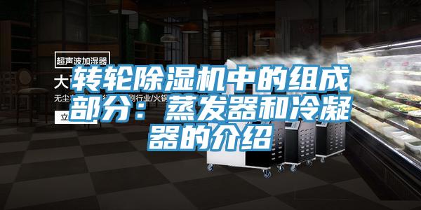轉輪91看片软件大全中的組成部分：蒸發器和冷凝器的介紹