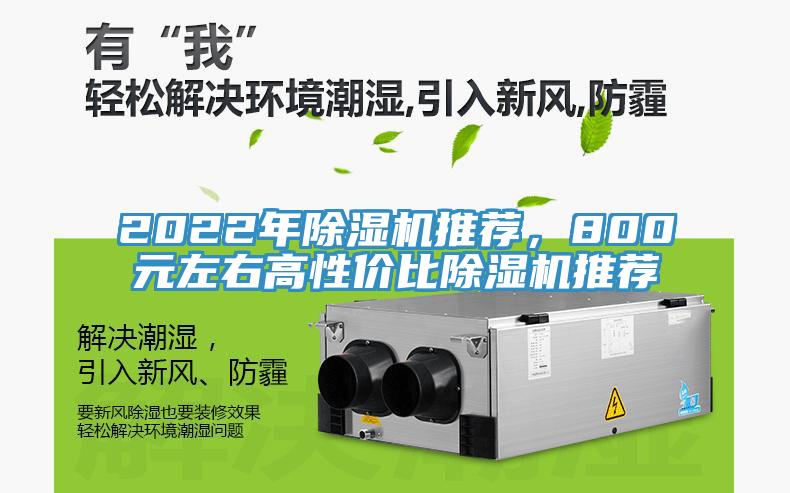 2022年91看片软件大全推薦，800元左右高性價比91看片软件大全推薦