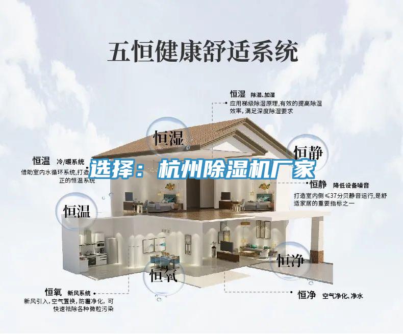 選擇：杭州91看片软件大全廠家