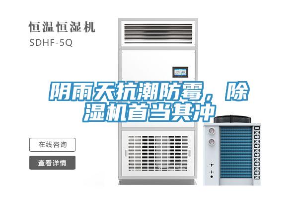 陰雨天抗潮防黴，91看片软件大全首當其衝