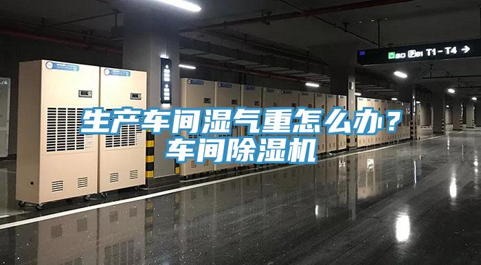 生產車間濕氣重怎麽辦？車間91看片软件大全
