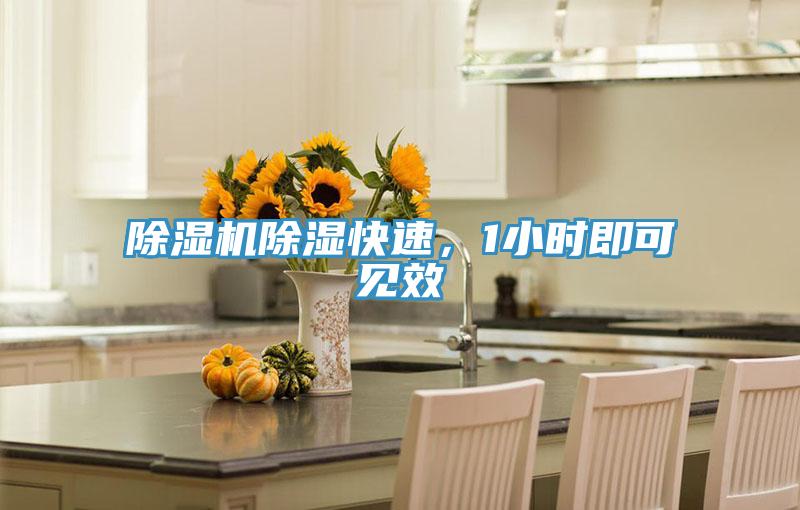 91看片软件大全除濕快速，1小時即可見效