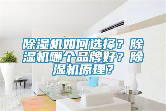 91看片软件大全如何選擇？91看片软件大全哪個品牌好？91看片软件大全原理？