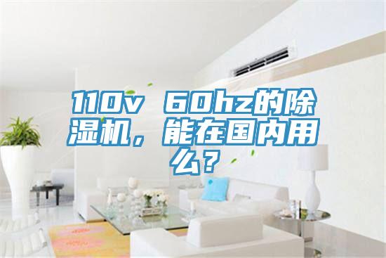 110v 60hz的91看片软件大全，能在國內用麽？