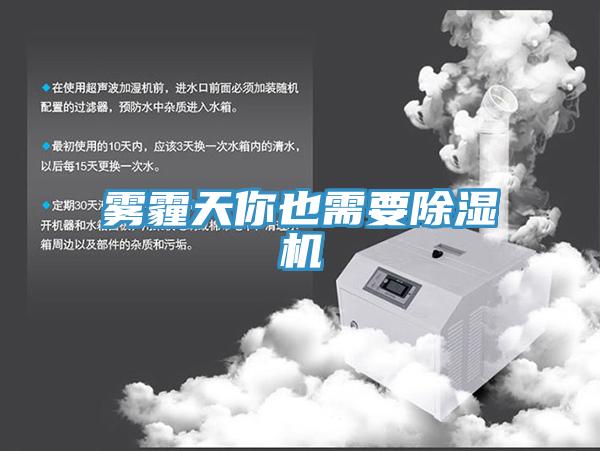 霧霾天你也需要91看片软件大全