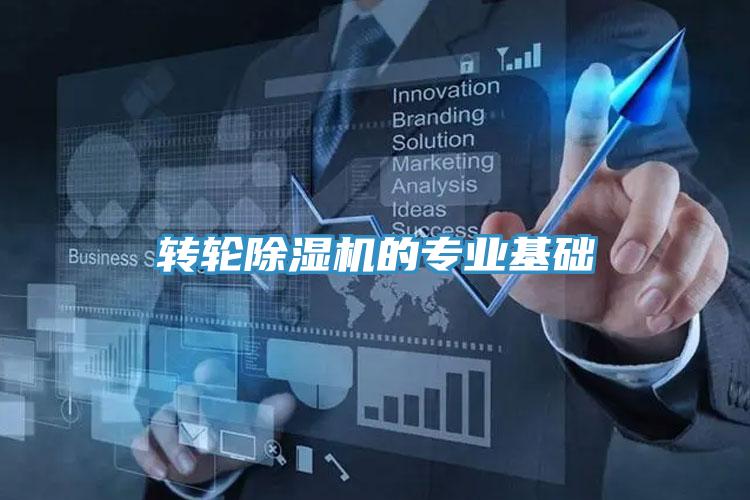 轉輪91看片软件大全的專業基礎