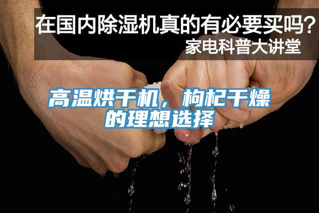 高溫烘幹機，枸杞幹燥的理想選擇