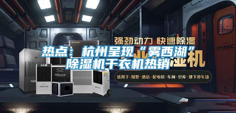 熱點：杭州呈現“霧西湖”91看片软件大全幹衣機熱銷