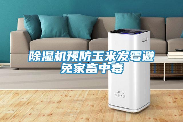 91看片软件大全預防玉米發黴避免家畜中毒