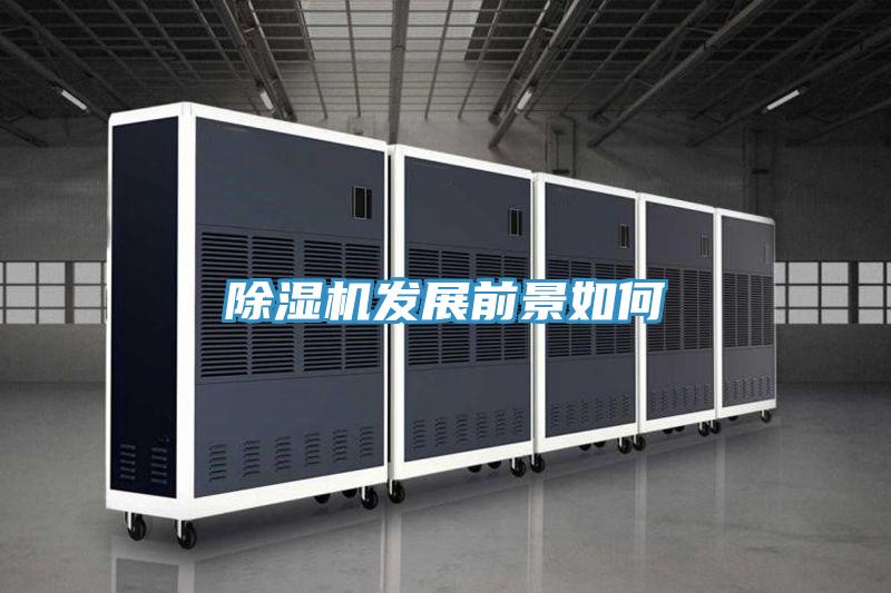 91看片软件大全發展前景如何