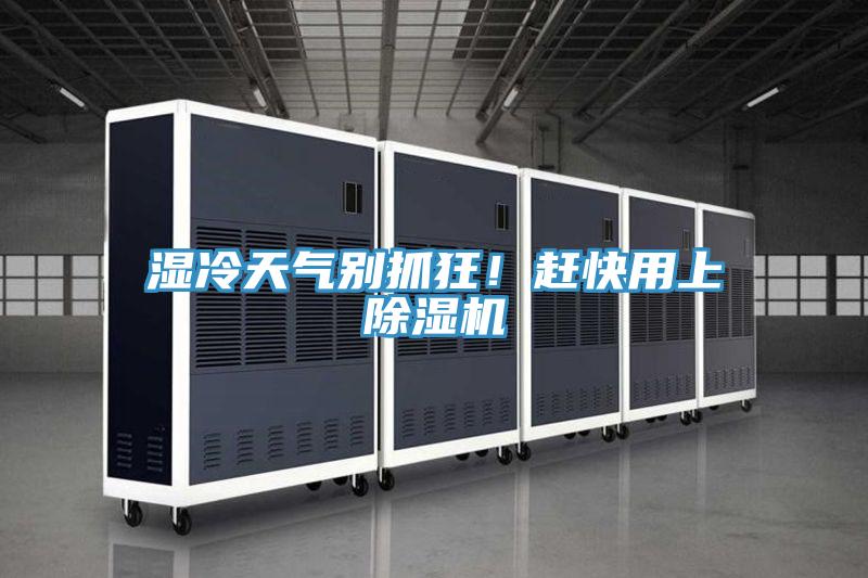 濕冷天氣別抓狂！趕快用上91看片软件大全