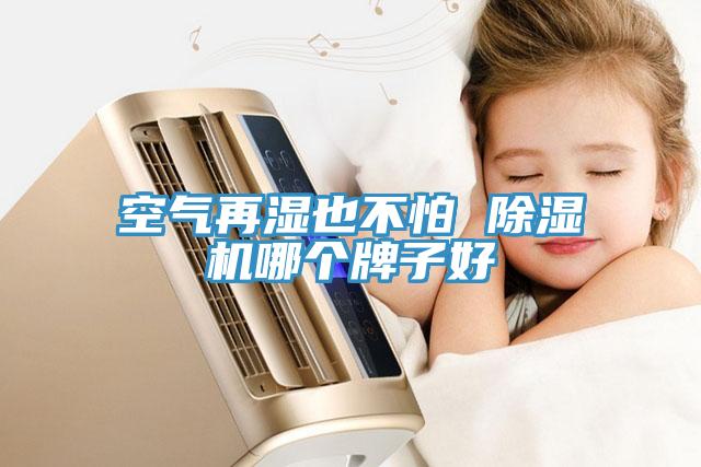 空氣再濕也不怕 91看片软件大全哪個牌子好