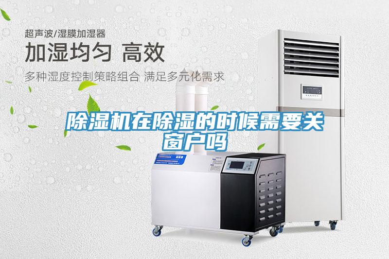 91看片软件大全在除濕的時候需要關窗戶嗎