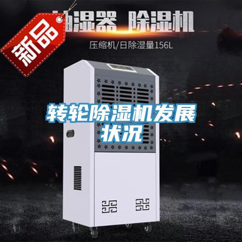 轉輪91看片软件大全發展狀況