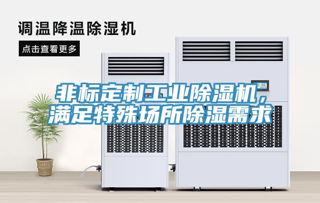 非標定製工業91看片软件大全，滿足特殊場所除濕需求