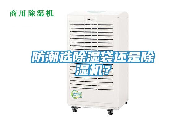 防潮選除濕袋還是91看片软件大全？