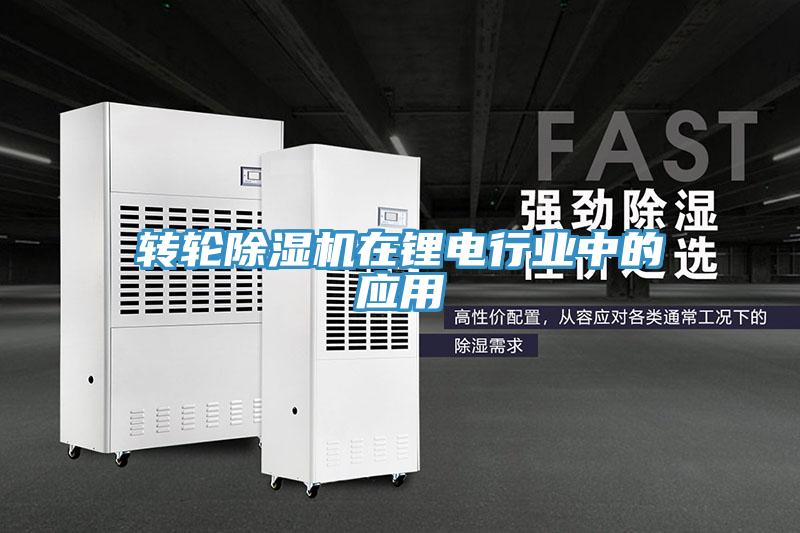 轉輪91看片软件大全在鋰電行業中的應用