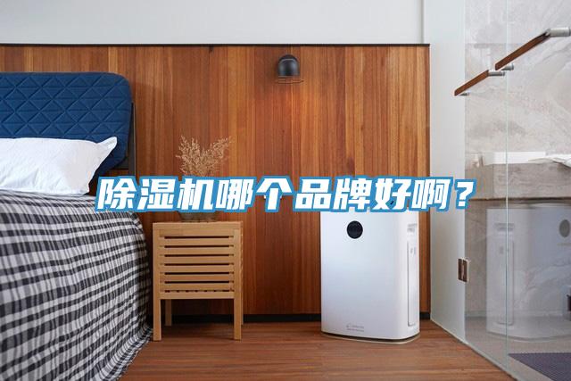91看片软件大全哪個品牌好啊?