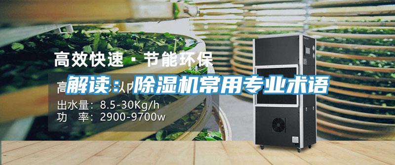 解讀：91看片软件大全常用專業術語