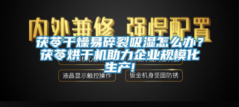 茯苓幹燥易碎裂吸濕怎麽辦？茯苓烘幹機助力企業規模化生產!
