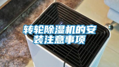 轉輪91看片软件大全的安裝注意事項