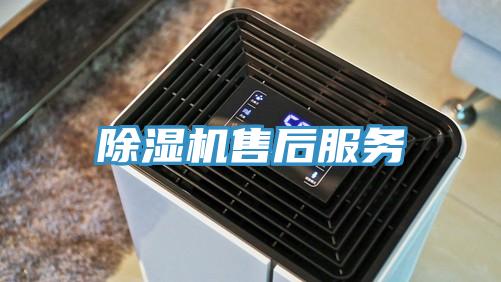 91看片软件大全售後服務