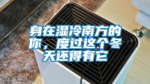 身在濕冷南方的你，度過這個冬天還得有它