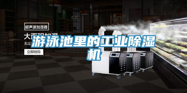 遊泳池裏的工業91看片软件大全