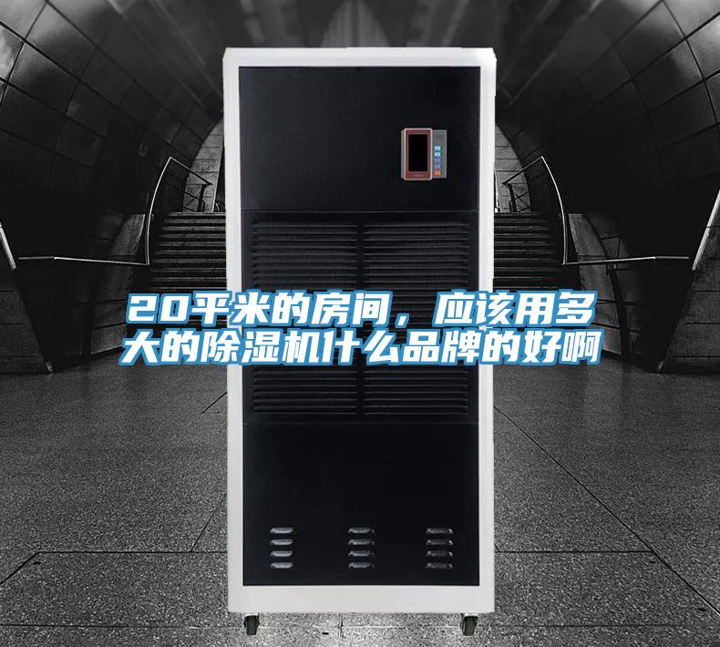 20平米的房間，應該用多大的91看片软件大全什麽品牌的好啊